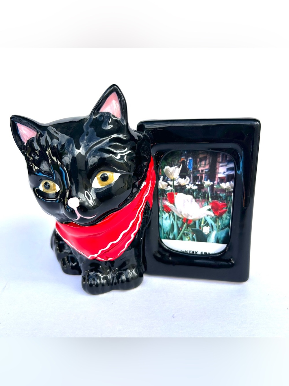 Black Cat Picture Frame with Red Scarf Urban Outfitters NWT